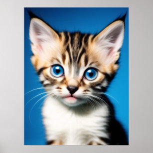 Schattig Kitten Portret met Mooie Blauwe Ogen Poster