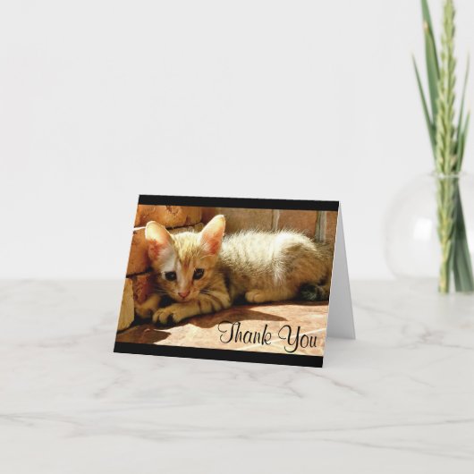 Schattig klein katje dank je bedankkaart (Voorkant)