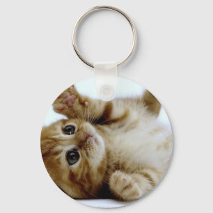 schattig klein kattengembertje sleutelhanger