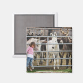 Schattig klein meisje en ezels magneet (Voorkant / Achterkant)
