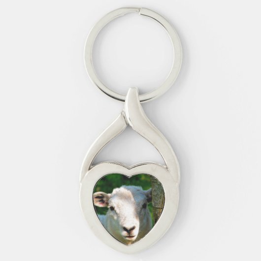 SCHATTIG KLEIN SCHAAP SLEUTELHANGER (Voorkant)