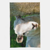 SCHATTIG KLEIN SCHAAP THEEDOEK (Verticaal)