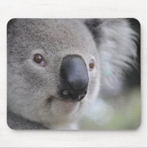 Schattig Koala Beer Muismat