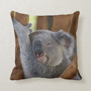 Schattig Koala Beer Pillow Kussen
