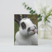 Schattig konijn briefkaart (Staand voorkant)