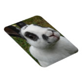 Schattig konijn magneet (Rechterzijde)