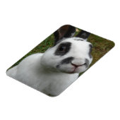 Schattig konijn magneet (Linkerzijde)