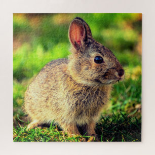 Schattig Konijntje - Schattig Legpuzzel