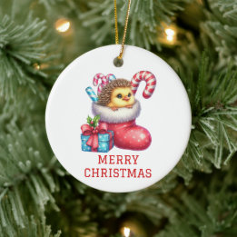 Schattig Kuiken met Egelenvacht Kerst Keramisch Ornament
