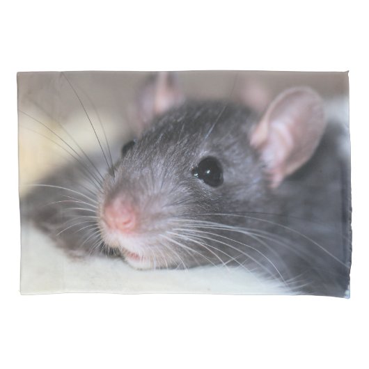 Schattig Kussensloop (Voorkant)