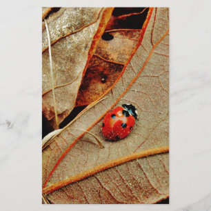 schattig Ladybug-kostuum personaliseert naam