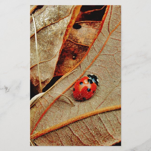 schattig Ladybug-kostuum personaliseert naam (Voorkant)