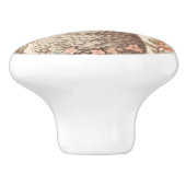 Schattig Lam Fijne Pastel Kleur Bloemen Keramische Knop (Zijkant)