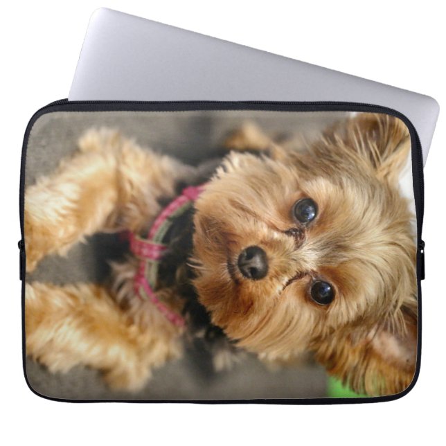 Schattig Laptop Sleeve (Voorkant)