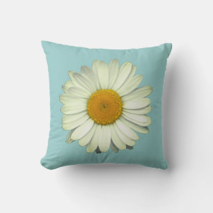 Schattig madeliefje bloemhoofd op lichtblauw kussen