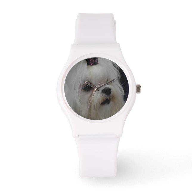 Schattig Maltees Horloge (Voorkant)