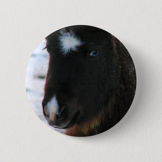 Schattig mini Horse Filly Ronde Button 5,7 Cm (Voorkant)