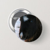 Schattig mini Horse Filly Ronde Button 5,7 Cm (Voorkant /achterkant)
