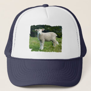 Schattig modderig baby schaap lam in een weide trucker pet