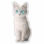 Schattig Ojos Azules Kat Sticker -  (Voorkant)