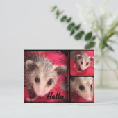 Schattig oppossum Briefkaart. Briefkaart (Staand voorkant)
