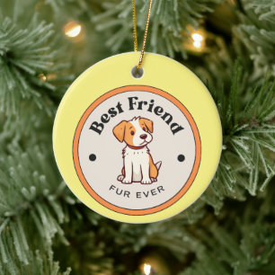 SCHATTIG! Ornament - Beste Vriendin Bont Ooit - Pu