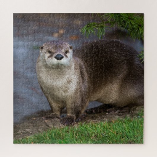 Schattig Otter op de Riverbank Legpuzzel (Verticaal)