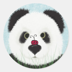 Schattig Panda Beer Ronde Sticker