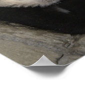 Schattig panda-poster. poster (Hoek)