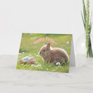 Schattig Pasen Konijn met Geschilderde Eieren   Kaart