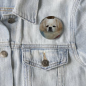 schattig Pekingese Ronde Button 5,7 Cm (In situ)