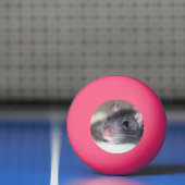 Schattig Pingpongballen (Net)