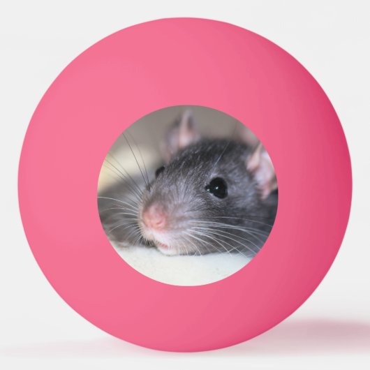 Schattig Pingpongballen (Voorkant)