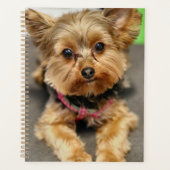 Schattig Planner (Voorkant)