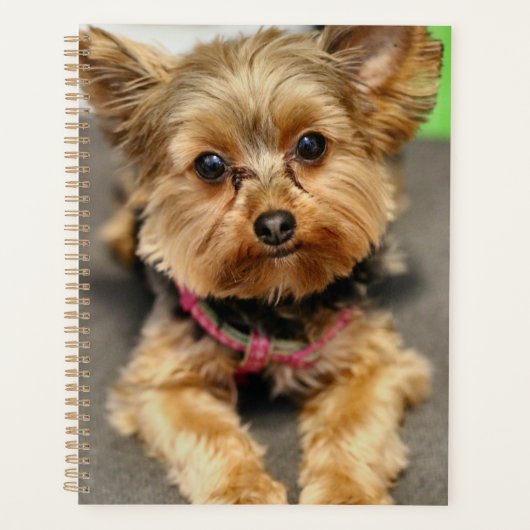 Schattig Planner (Voorkant)