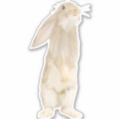 Schattig pluizig konijn sticker (Voorkant)