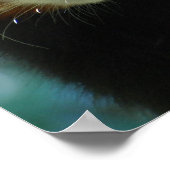 Schattig Poster Red Panda (Hoek)