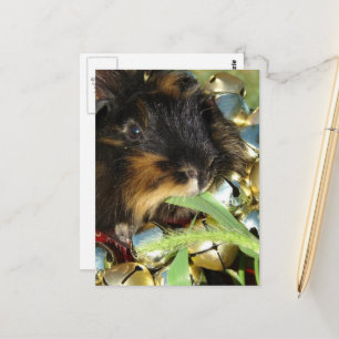 Schattig prettig kerst cavia briefkaart