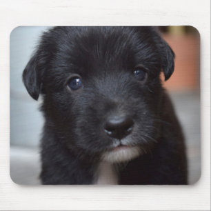 Schattig puppy hond dier muismat
