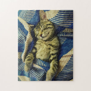 Schattig! Puzzel - Kat Napping in Deken