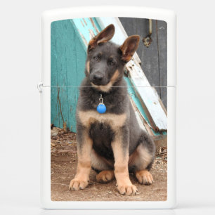 Schattig Rare Blue German Shepherd Puppy
