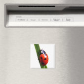 Schattig rood gevlekt lieveheersbeestje magneet (Insitu (Vaatwasser))