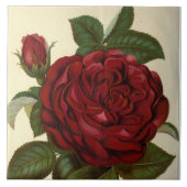 Schattig rood rose  decor tegeltje (Voorkant)