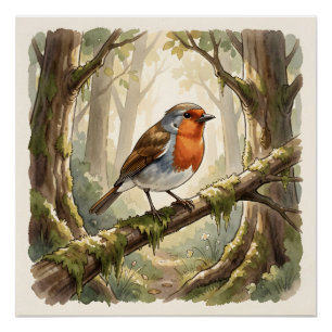 Schattig roodborstje in oude bos perfect poster
