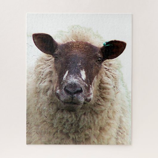 SCHATTIG SCHAAP LEGPUZZEL (Verticaal)