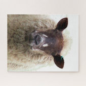 SCHATTIG SCHAAP LEGPUZZEL (Horizontaal)