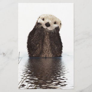 Schattig Schattig pluizig otter dier