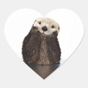Schattig Schattig pluizig otter dier Hart Sticker