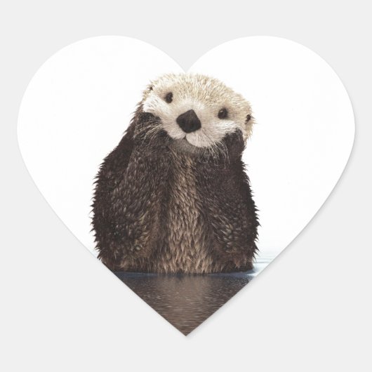Schattig Schattig pluizig otter dier Hart Sticker (Voorkant)