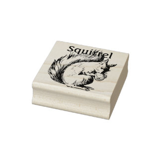 Schattig Schets van een Eekhoorn met Nut Rubberstempel